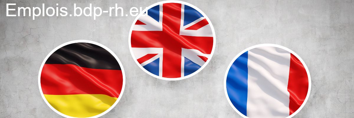 emplois.bdp-rh.eu